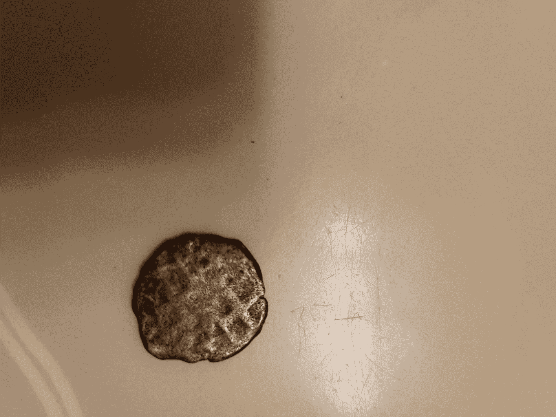 11-17th-Century-Bronze-Coin